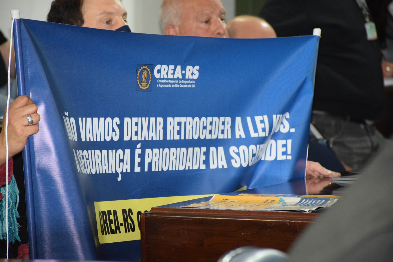 Manifestação do Plenário